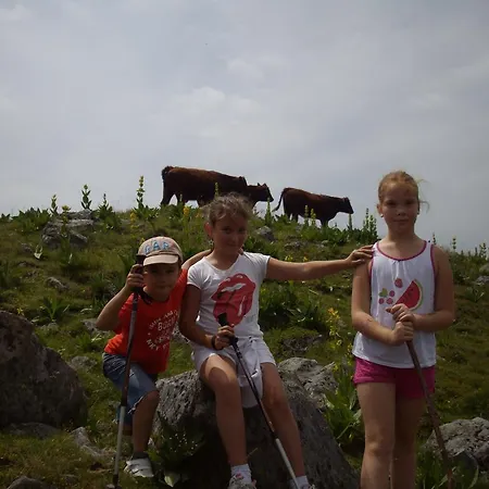 La Maison D'odette Et Daniel Vitrac (Cantal)