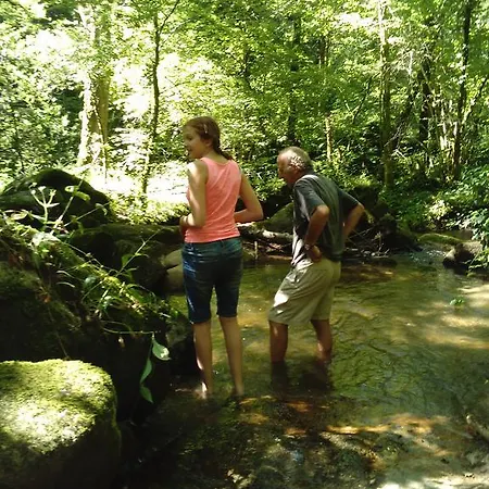 La Maison D'odette Et Daniel Hébergement de vacances *